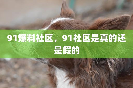 91爆料社区，91社区是真的还是假的