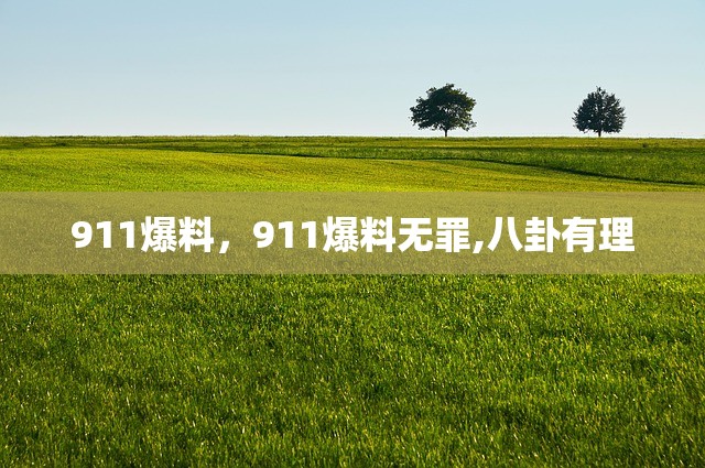 911爆料，911爆料无罪,八卦有理