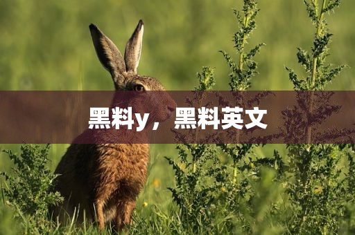黑料y，黑料英文