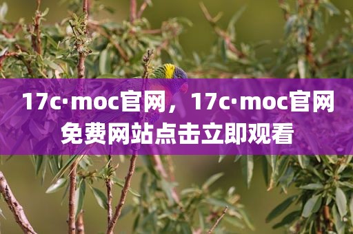 17c·moc官网，17c·moc官网免费网站点击立即观看