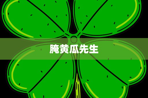 腌黄瓜先生