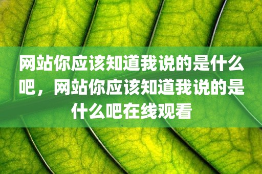 网站你应该知道我说的是什么吧，网站你应该知道我说的是什么吧在线观看