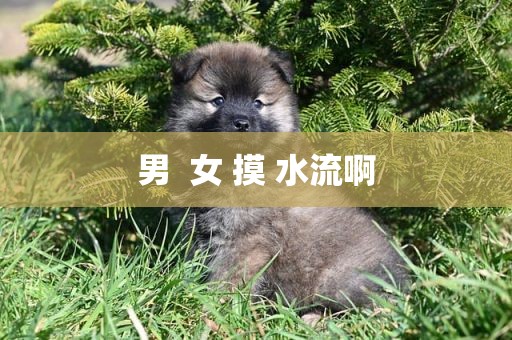 男  女 摸 水流啊