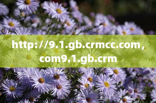 http://9.1.gb.crmcc.com，com9.1.gb.crm