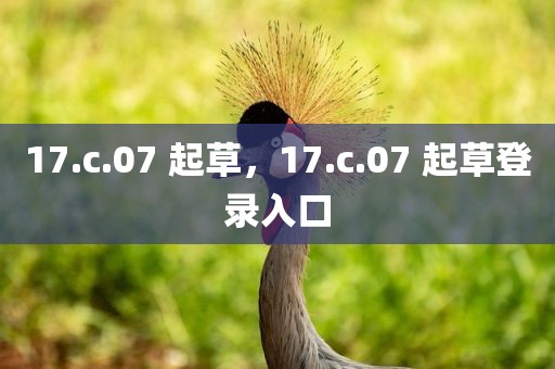 17.c.07 起草，17.c.07 起草登录入口