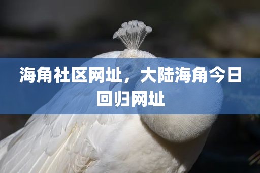 海角社区网址，大陆海角今日回归网址