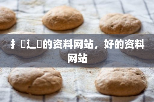 扌臿辶畐的资料网站，好的资料网站