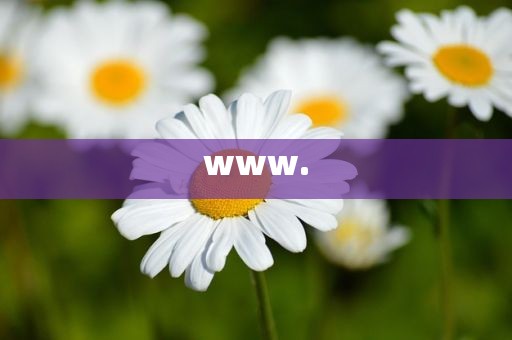www.