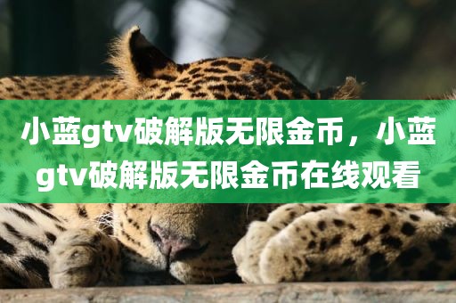 小蓝gtv破解版无限金币，小蓝gtv破解版无限金币在线观看