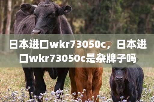 日本进口wkr73050c，日本进口wkr73050c是杂牌子吗