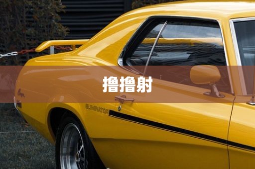 撸撸射