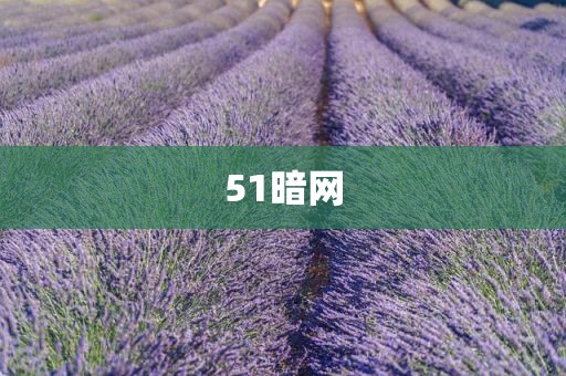 51暗网