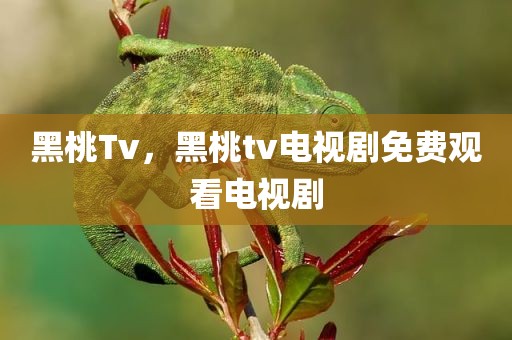 黑桃Tv，黑桃tv电视剧免费观看电视剧