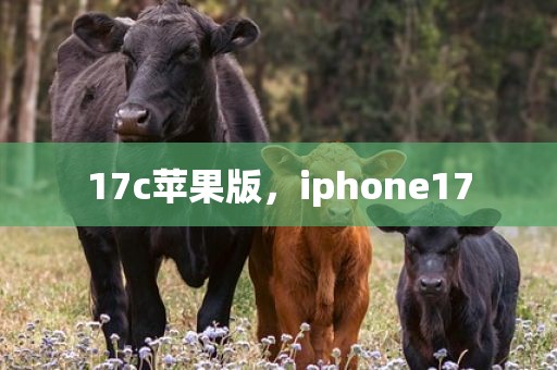 17c苹果版，iphone17