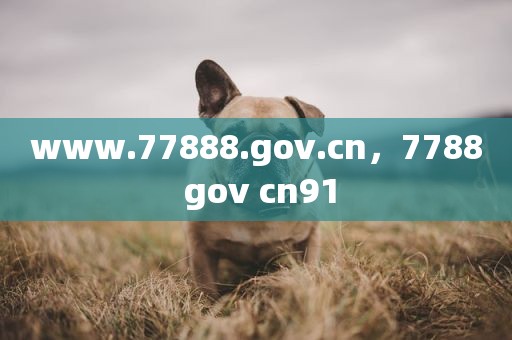 www.77888.gov.cn，7788 gov cn91