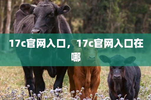 17c官网入口，17c官网入口在哪