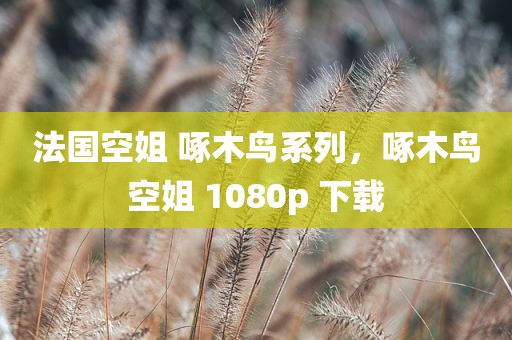 法国空姐 啄木鸟系列，啄木鸟空姐 1080p 下载