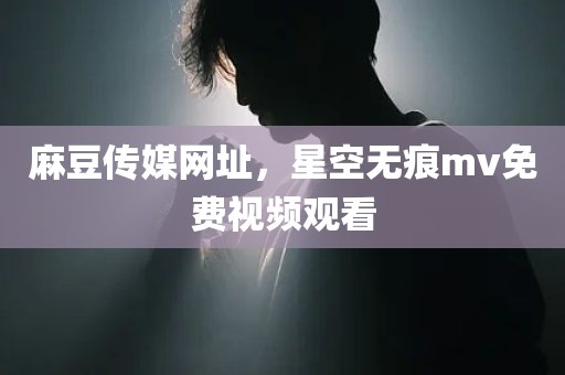麻豆传媒网址，星空无痕mv免费视频观看