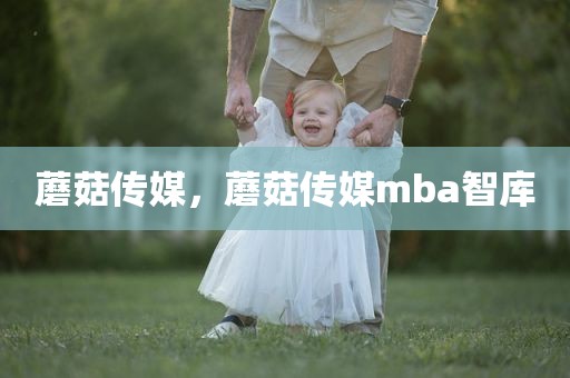蘑菇传媒，蘑菇传媒mba智库