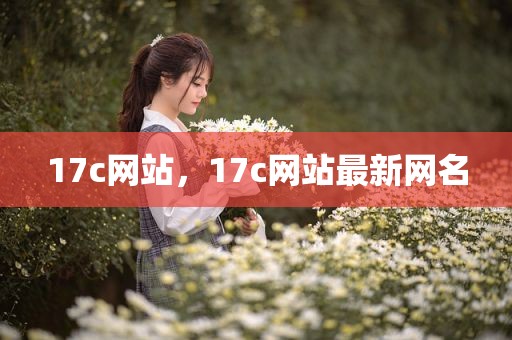 17c网站，17c网站最新网名