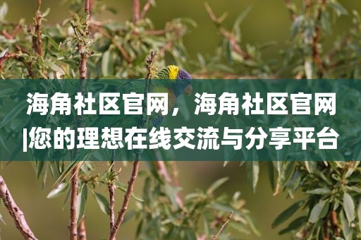 海角社区官网，海角社区官网|您的理想在线交流与分享平台