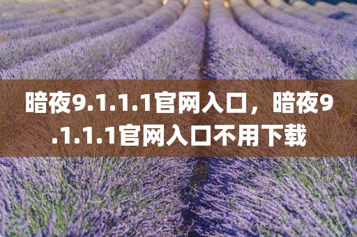 暗夜9.1.1.1官网入口，暗夜9.1.1.1官网入口不用下载