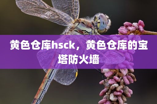 黄色仓库hsck，黄色仓库的宝塔防火墙
