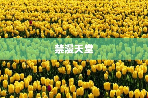 禁漫天堂