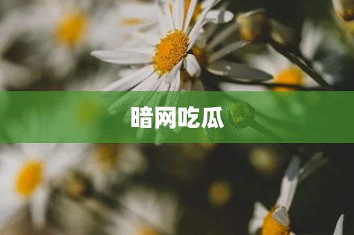 暗网吃瓜