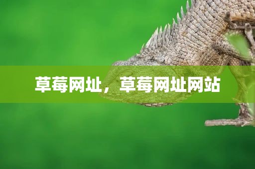 草莓网址，草莓网址网站