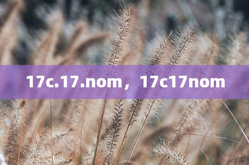 17c.17.nom，17c17nom