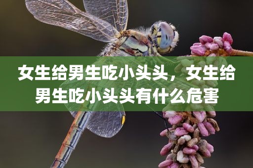 女生给男生吃小头头，女生给男生吃小头头有什么危害