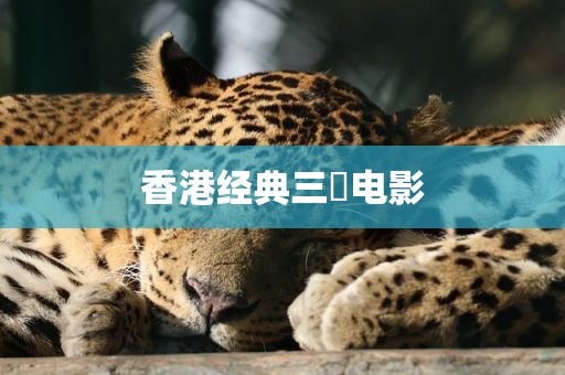 香港经典三㚫电影