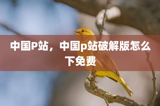 中国P站，中国p站破解版怎么下免费