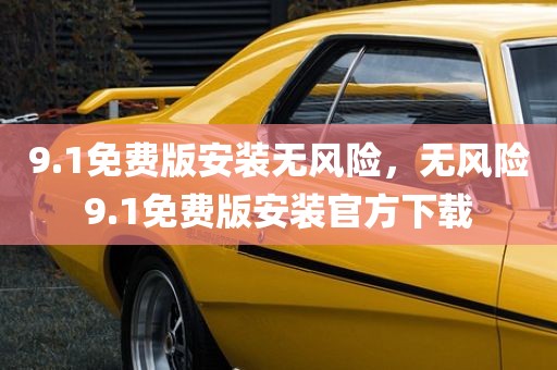 9.1免费版安装无风险，无风险9.1免费版安装官方下载