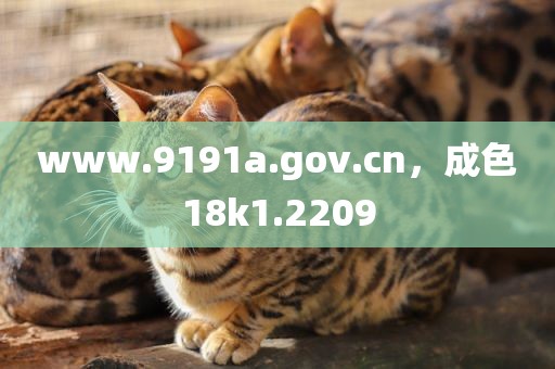 www.9191a.gov.cn，成色18k1.2209