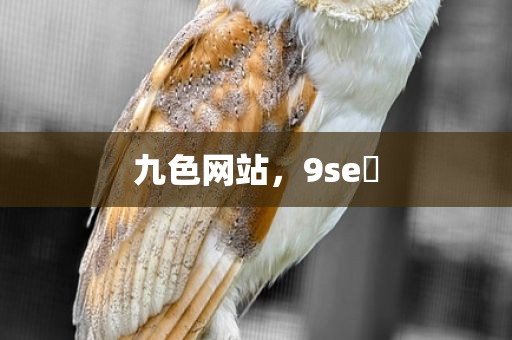 九色网站，9se 