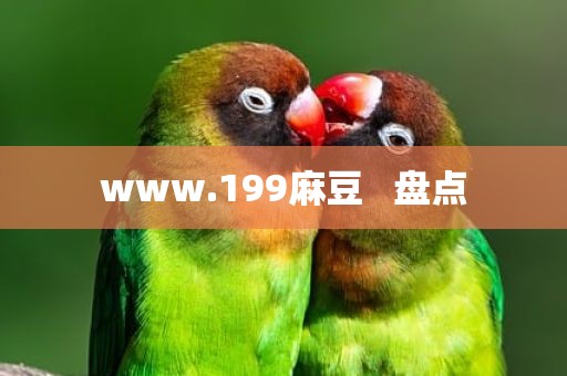 www.199麻豆   盘点