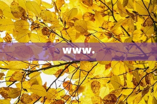 www.