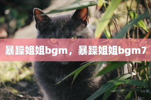 暴躁姐姐bgm，暴躁姐姐bgm7