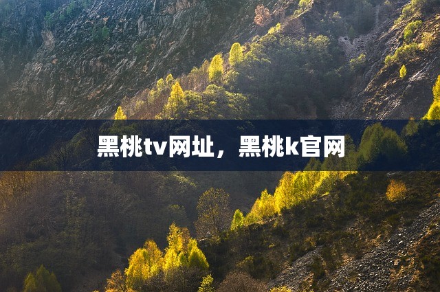 黑桃tv网址，黑桃k官网