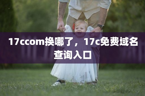 17ccom换哪了，17c免费域名查询入口