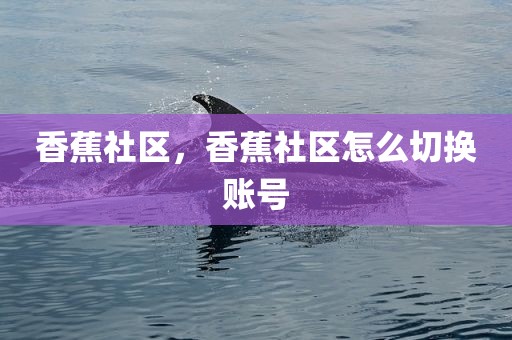 香蕉社区，香蕉社区怎么切换账号