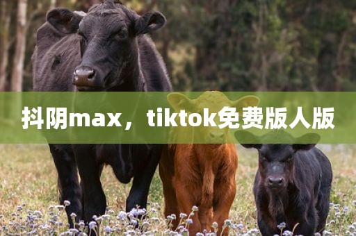 抖阴max，tiktok免费版人版