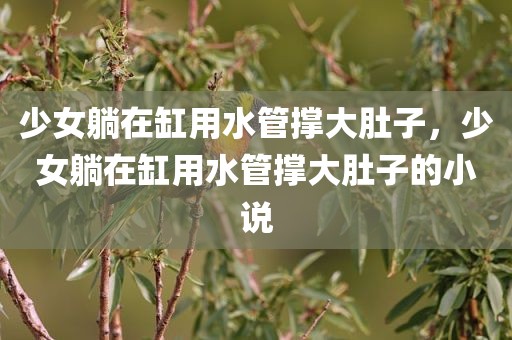 少女躺在缸用水管撑大肚子，少女躺在缸用水管撑大肚子的小说