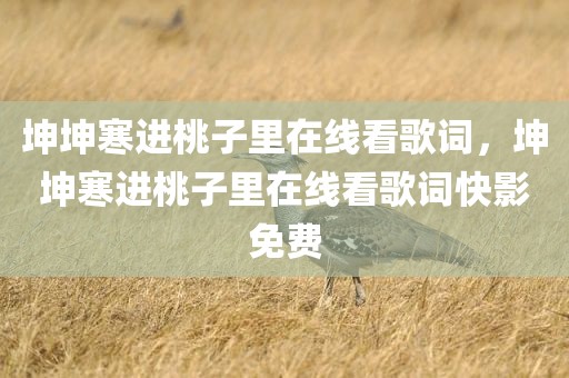 坤坤寒进桃子里在线看歌词，坤坤寒进桃子里在线看歌词快影免费