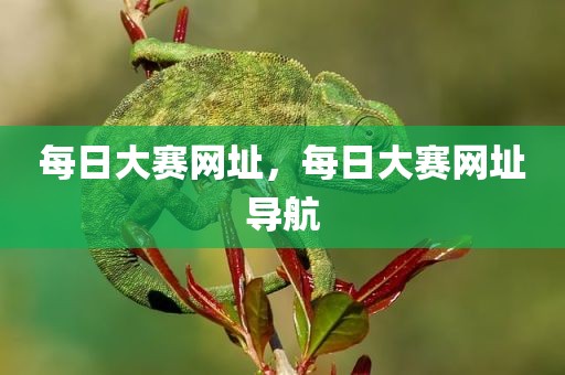 每日大赛网址，每日大赛网址导航