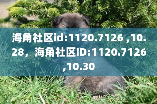 海角社区id:1120.7126 ,10.28，海角社区ID:1120.7126,10.30