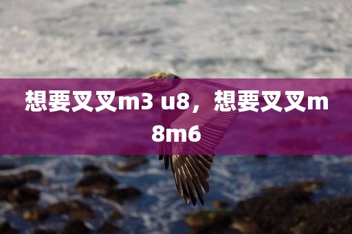 想要叉叉m3 u8，想要叉叉m8m6