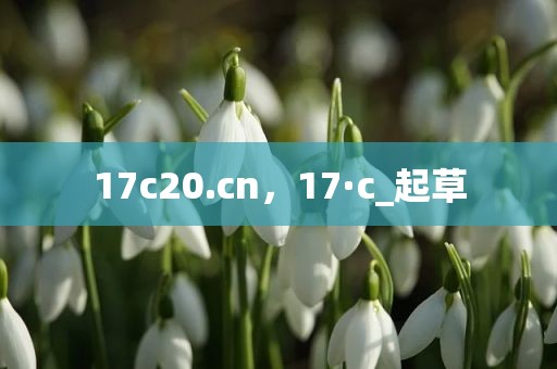 17c20.cn，17·c_起草